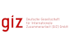giz-logo-2020.png